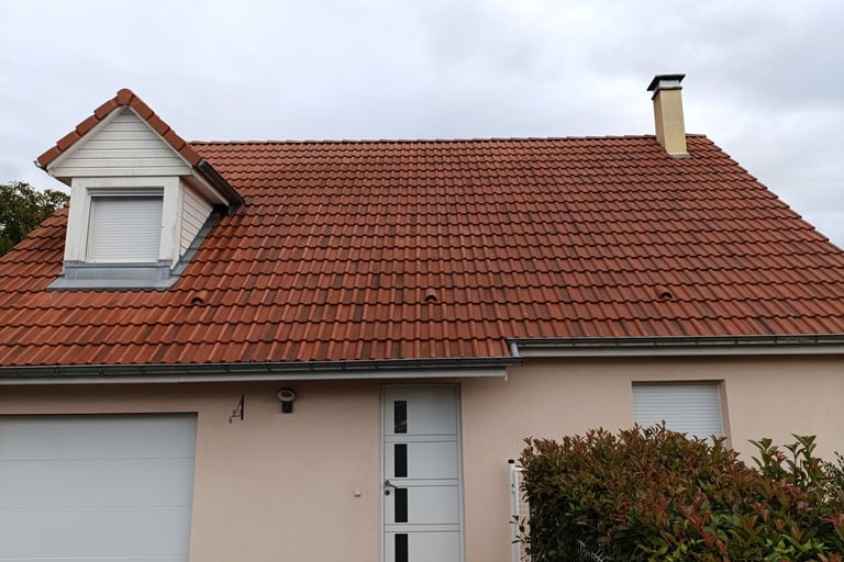 Demoussage toiture à Belfort