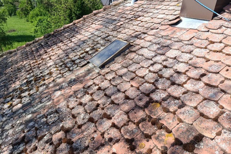 Nettoyage toiture belfort