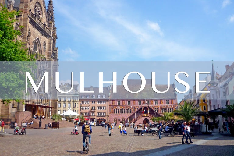 Démoussage de toiture à Mulhouse