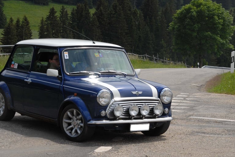 Rover Mini balade orientation