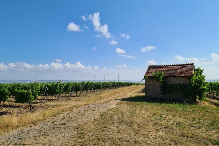 Wöllstein, Winzerhäuschen