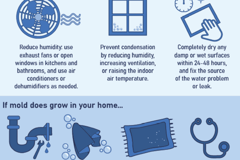 best way to prevent mold growth