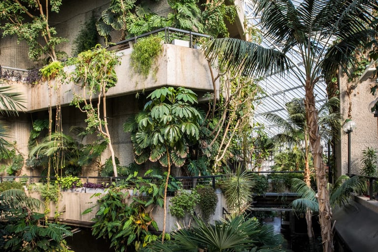 The Numbers Behind Nature, the true ROI of integrating biophilic design into your project