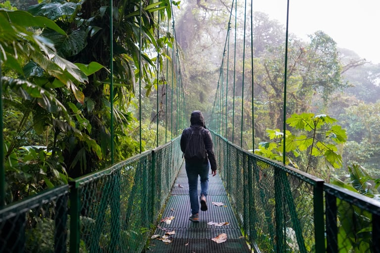 Mystico Hanging Bridge