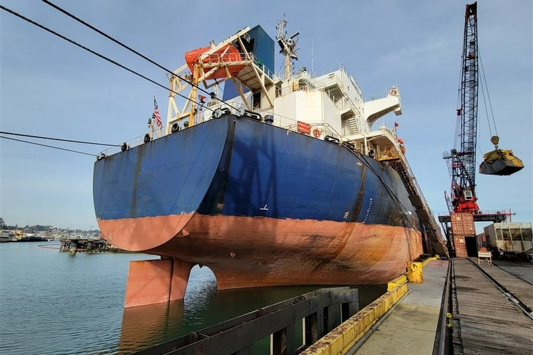 Bulk carrier Condition Survey New Orleans