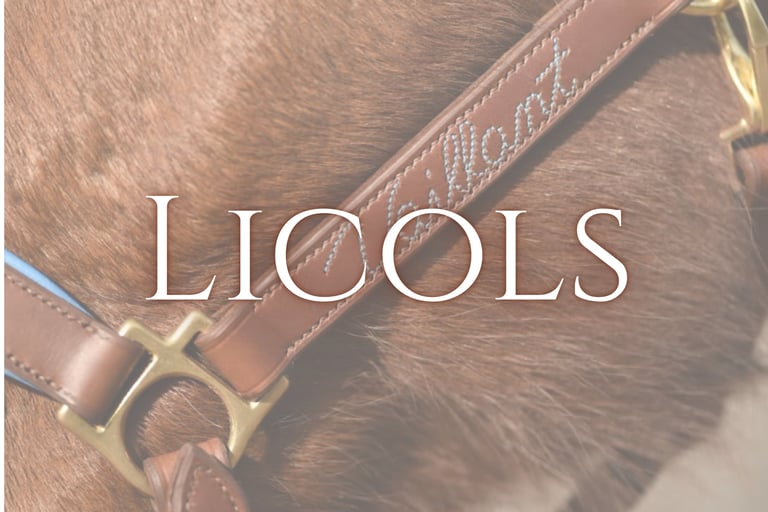 licols en cuir sellerie etter Genève artisan sellier harnacheur Suisse