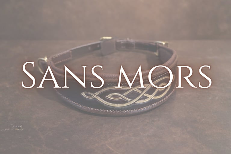 Sans mors cuir sellerie etter Genève artisan sellier harnacheur Suisse