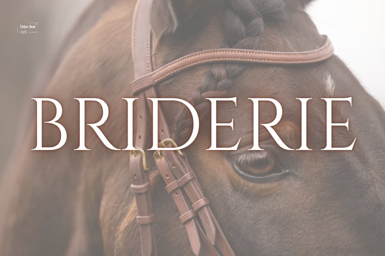 Bridon cuir sellerie etter Genève artisan sellier harnacheur Suisse