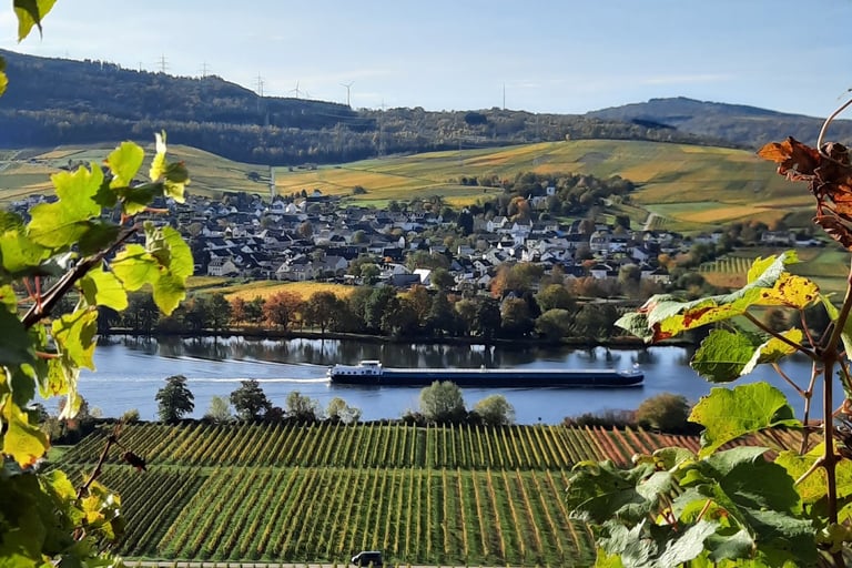 Mosel Riol