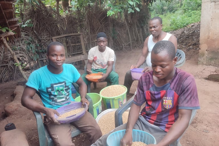 Les équipiers de l'association Emmaüs MOBOVOME trient le soja