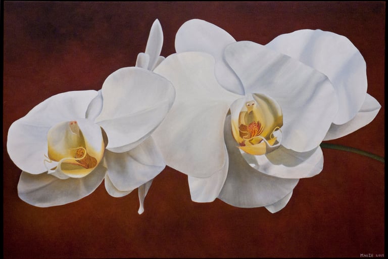 Monumental contemporary botanical realism, sprig of white phals painted by Christine Knize