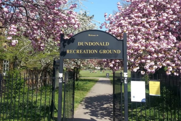 dogAdvisor | dog Advisor | dogadvisor.dog | dog Advisor