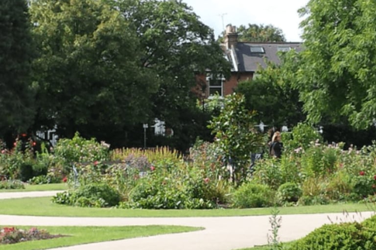 dogAdvisor | dog Advisor | dogadvisor.dog | dog Advisor