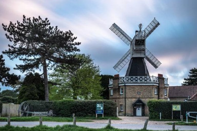 dogAdvisor | dog Advisor | dogadvisor.dog | dog Advisor