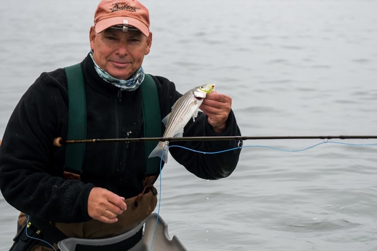 holding a small striped bass