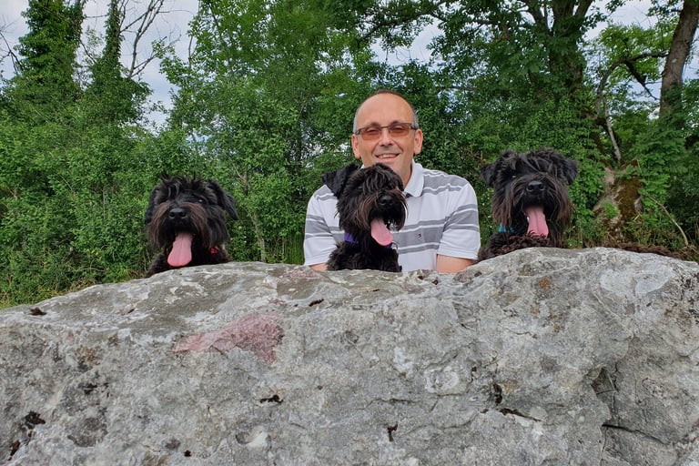 zwergschnauzer