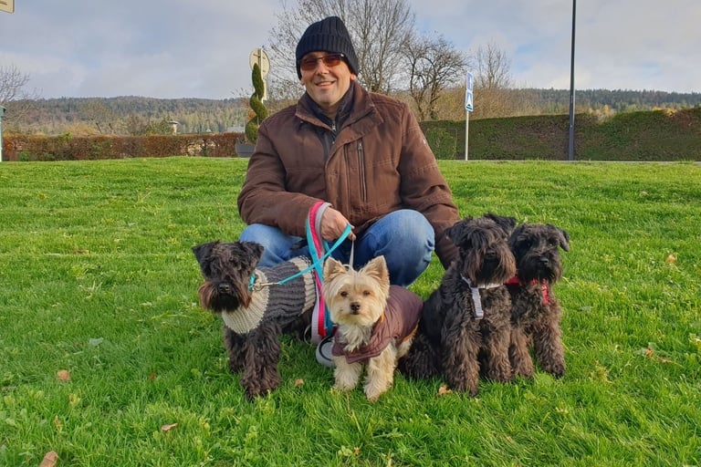Schnauzers nains noirs en balade