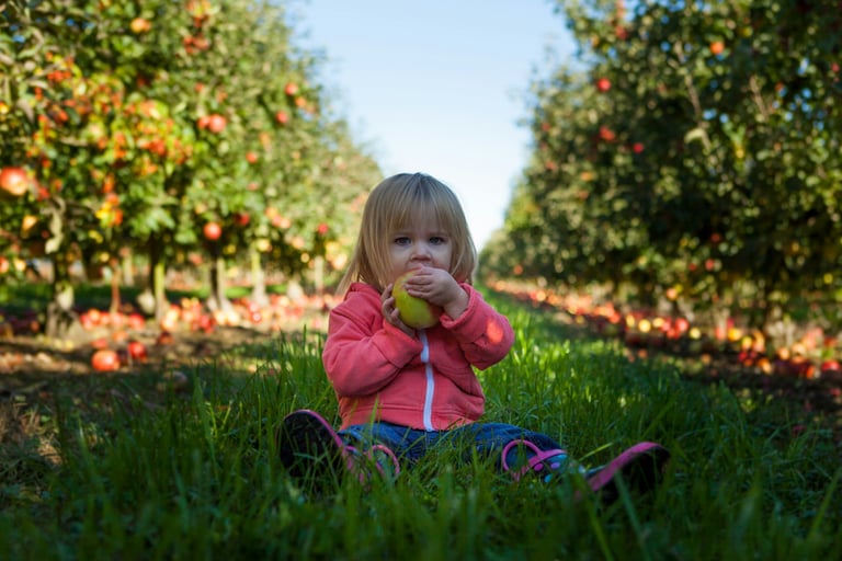 Child eating in an orchard. blog post to help parents navigate picky eating.