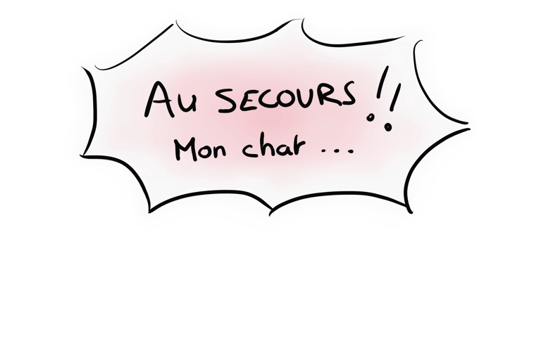 a bubble saying "au secours!! mon chat..."