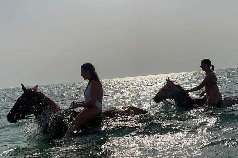 horse riding beach hurghada