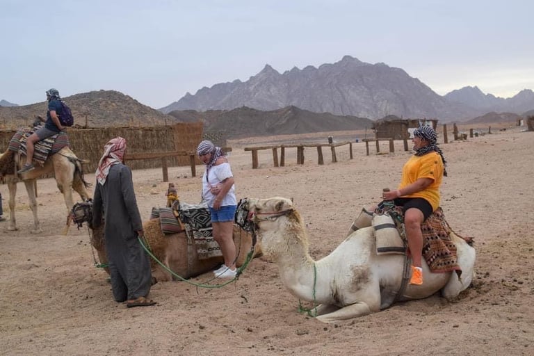 Camel ride in desert hurghada