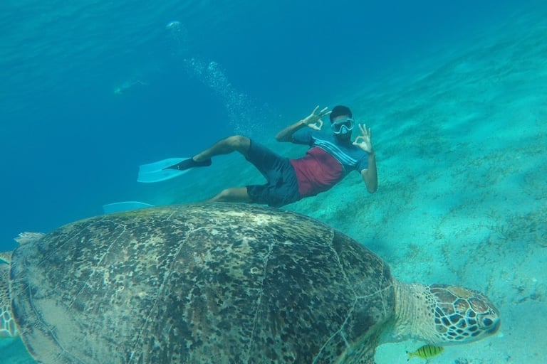 Turtle Bay excursion from hurghada