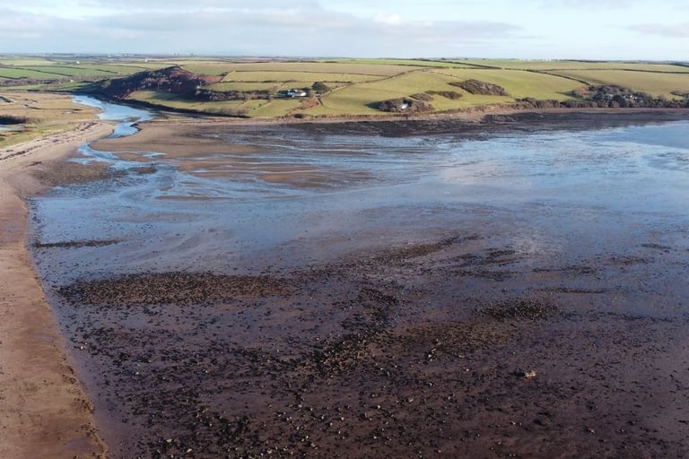 The Gann looking towards Monk Haven, Dale Pembrokeshire Drone