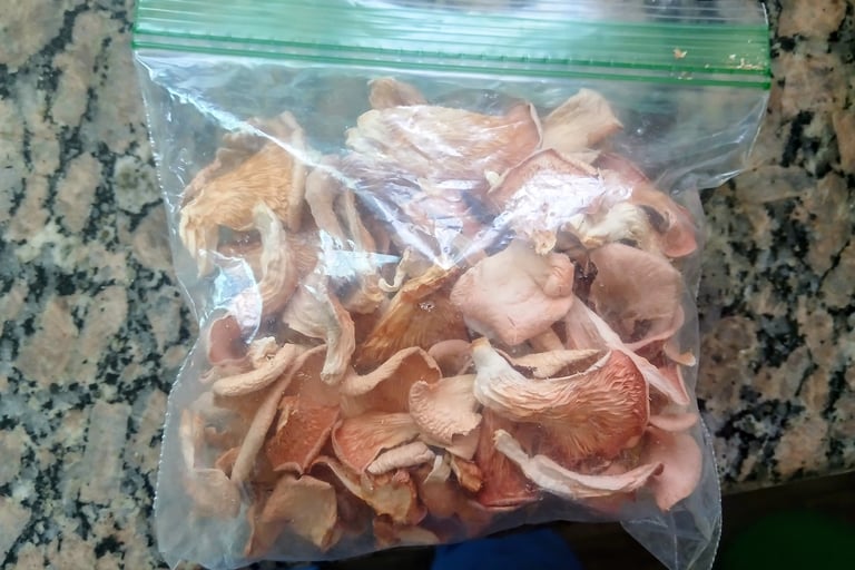dried pink oyster mushrooms in a bag after being dehydrated