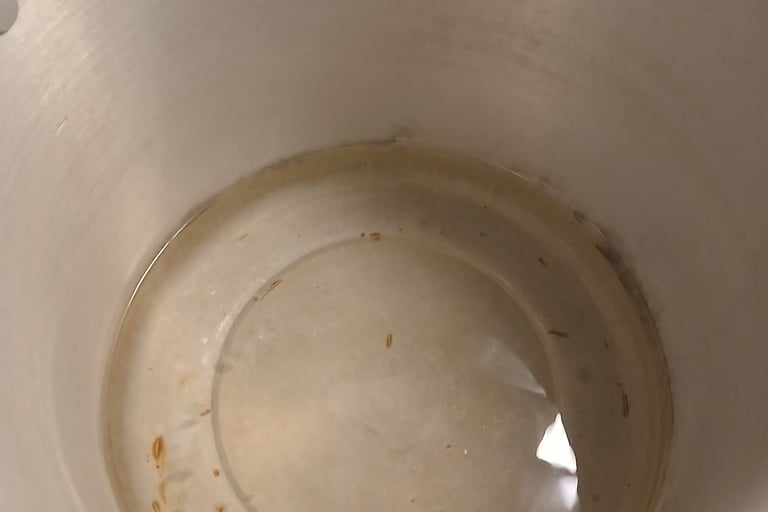 boiling water to pasteurize substrate 
