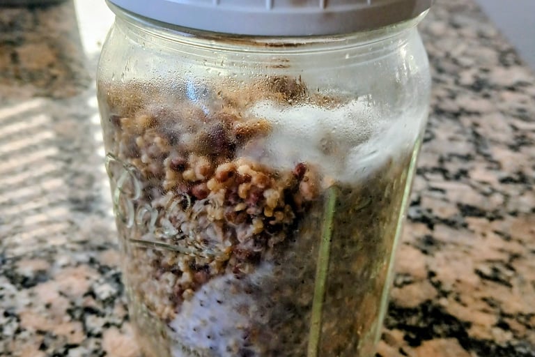a grain jar almost ready for shake and break