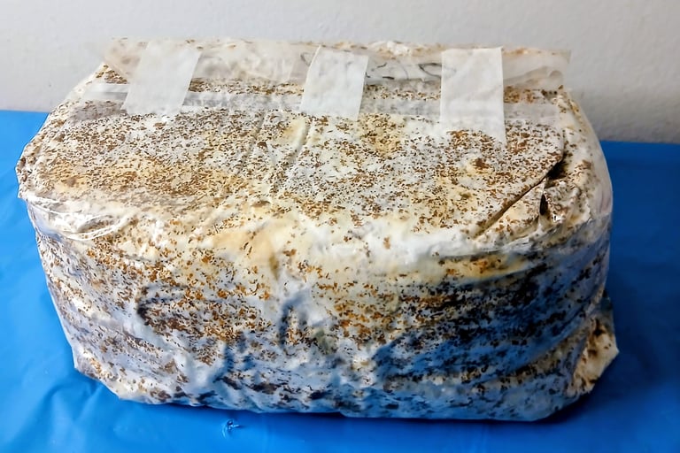 block of mushroom substrate