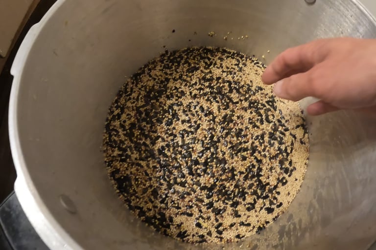 rinsing out sunflower seeds from wild bird seed grain spawn