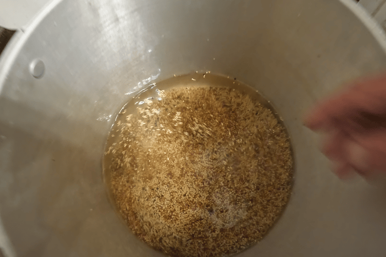 sunflower seeds removed in large pot for wbs grain spawn