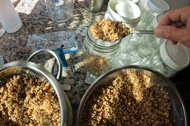 loading jars with wild bird seed