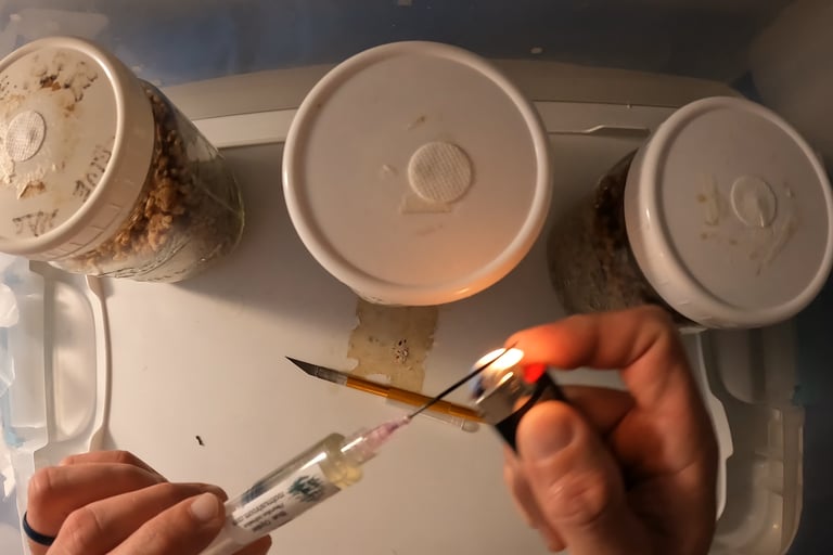 flame sterilizing a blue oyster lc syringe