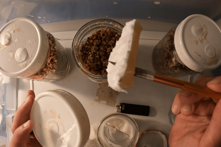 holding a agar wedge with a craft knife