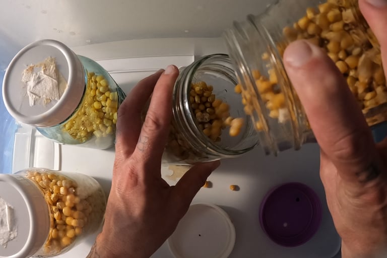transferring grain from one jar to another jar. grain to grain transfer
