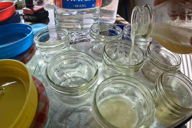 pouring agar into small mason jars for no pour agar tek