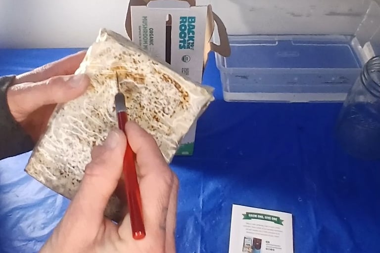 Cutting a x into a grow kit fruting block