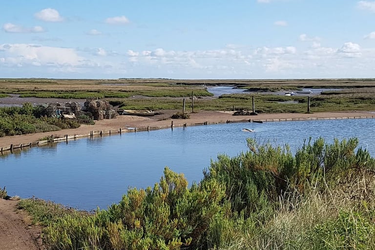Murrys Pond on the Marsh