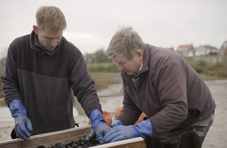 Brancaster oyster co, also producing Mussels