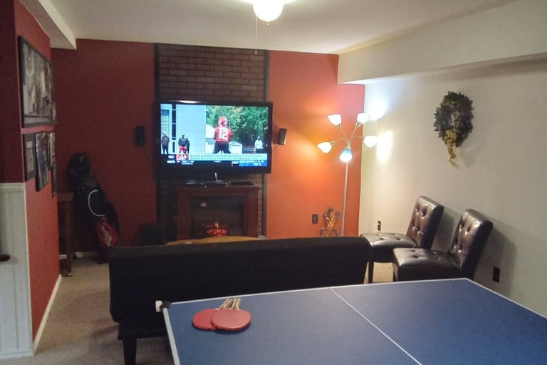 Table Tennis and Theater Room