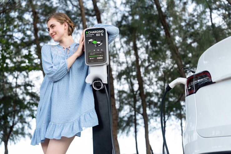 EV Charging Point Locator Options