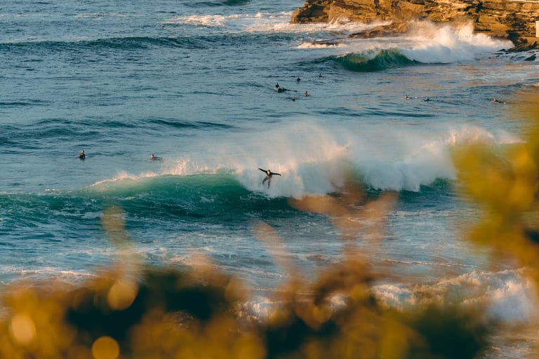 Surfcamp en Foz para todos los niveles