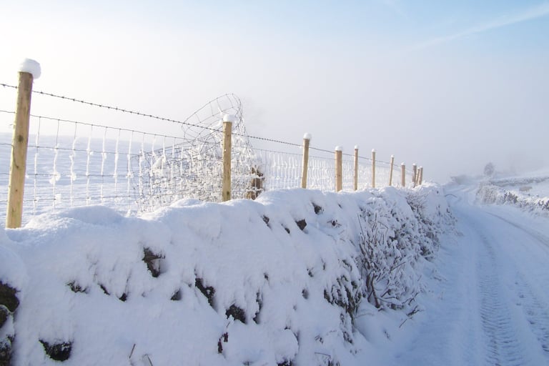 Snow on the fence by Andrew Duddle