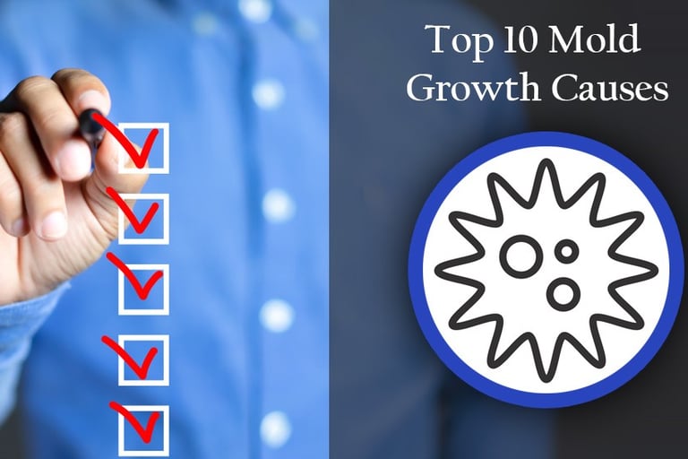 roof mold growth causes broward county fl