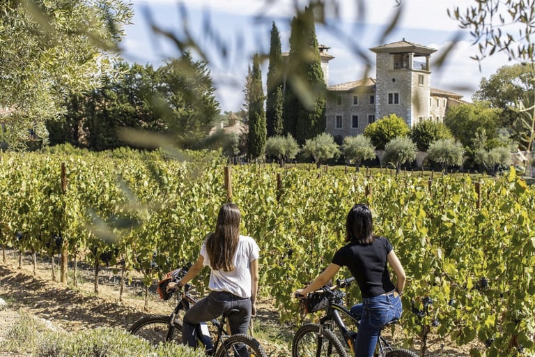 Biking in vineyards in wine domain and chateau
