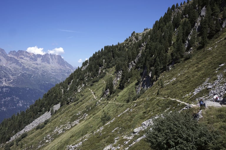 Hiking in the Alps