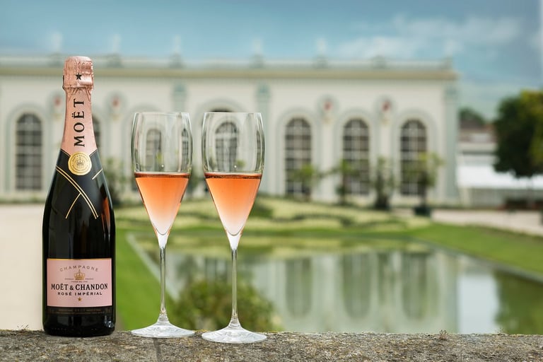 champagne bottle and glasses of rosé in wine domain