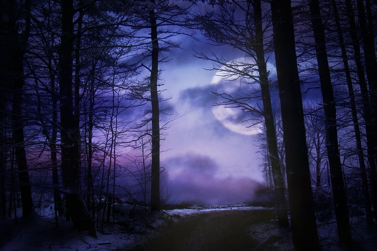 moonlight filtering through dark forest where fear lies in the shadows